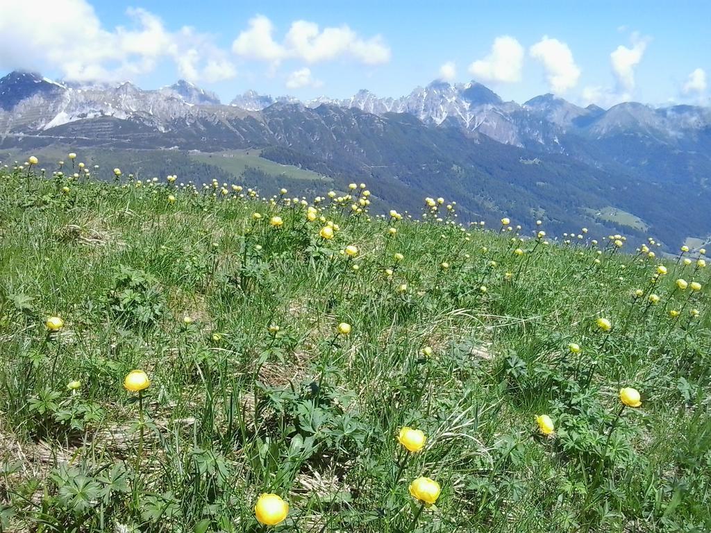 Apartment Martin Neustift im Stubaital